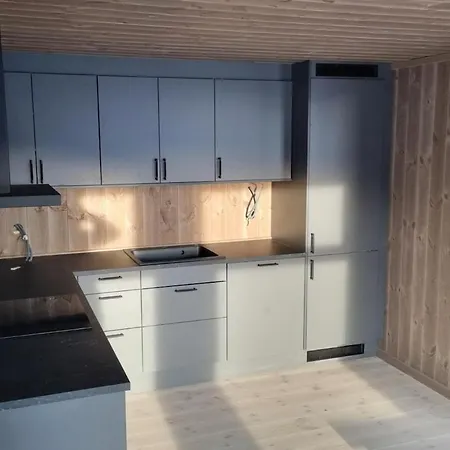 Brand-new For Rent At Lemonsjoen Vaga
