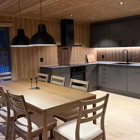 Brand-new For Rent At Lemonsjoen Vaga