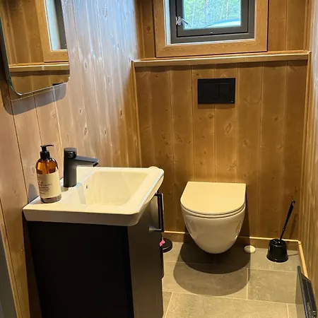 Brand-new For Rent At Lemonsjoen *